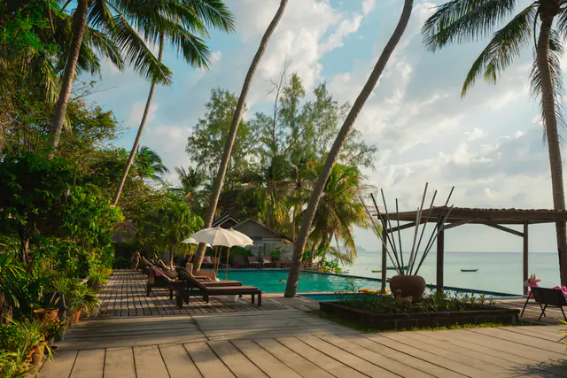 The beach deck under the palms