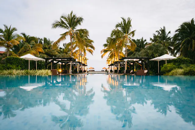 Palm trees reflected in the main pool